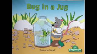 12.  Bug in a Jug