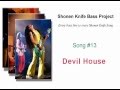 Shonen Knife Bass Project - Devil House - Lesson