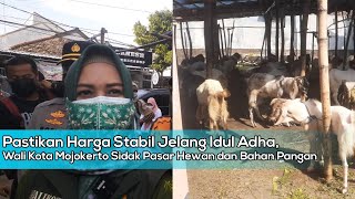 Pastikan Harga Stabil Jelang Idul Adha, Wali Kota Mojokerto Sidak Pasar Hewan dan Bahan Pangan