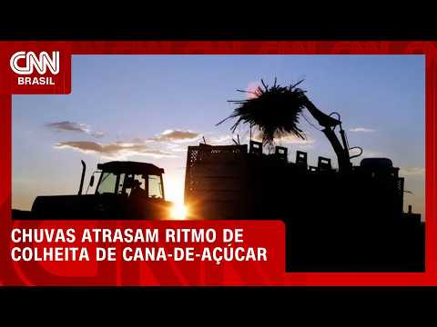 Chuvas no Centro-Sul prejudicam colheita de cana-de-açúcar | CNN AGRO NEWS