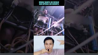 Download lagu WANITA INI DICULIK DAN DIPERAS AIR SUSUNYA‼️#shorts #alurcerita #storytelling mp3 Download lagu WANITA INI DICULIK DAN DIPERAS AIR SUSUNYA‼️#shorts #alurcerita #storytelling mp3