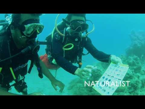 The next level for certified scuba divers – The Advanced course