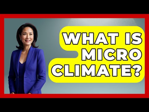 What Is Micro Climate? - Earth Science Answers