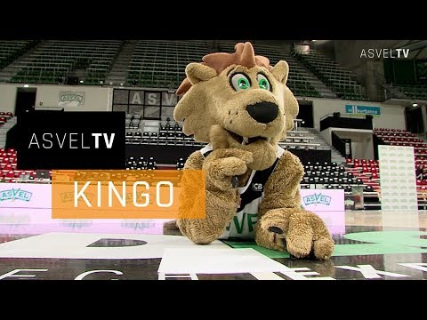 Kingo a une surprise pour l'anniversaire de Jiki...