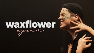 Waxflower - Again video