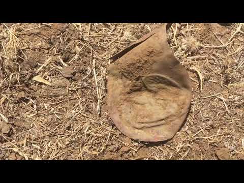 CA Relic Hunting with Jimi & Ray - GOLD RUSH RELICS!
