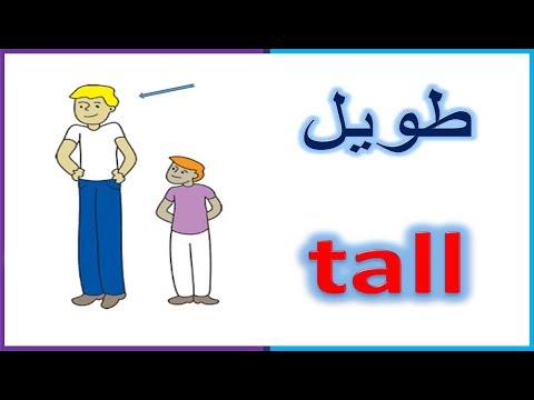 كلمات انجليزي من 4 حروف