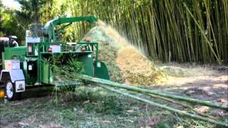 preview picture of video 'Chipping bamboo at Bamboo Land, Australia'