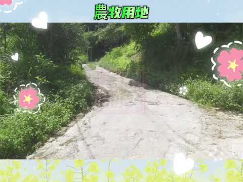 Condado de Hsinchu, distrito de Heshan, área panorâmica de Dashan Boutou Bunlin-Chunming Land-035551111