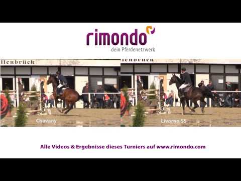 Spenge: A.M. Quintero Palomar & Chavany vs. H. Wenz & Livorno S** m. Siegerr. 21.04.2014