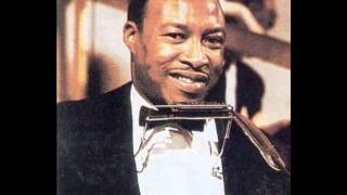 Jimmy Reed - You Upset My Mind