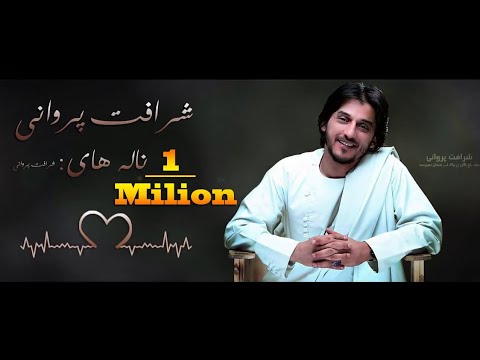 Sharafat Parwani Majlisi ناله های شرافت پروانی مجلسی HD Video 2020