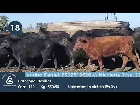 Lote Nllinv. - La Violeta, Pergamino Bs As