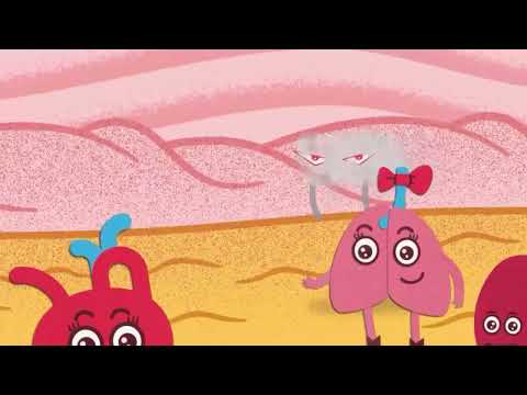 Radon: The Gas You Can't See, Smell, or Taste