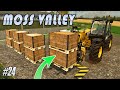 The BEST Way To Do Pigs! | Moss Valley (FS22 Saving The Farm)