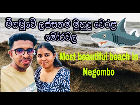 මීගමුවේ ලස්සනම මුහුදු වෙරළ මෝරවල | Morawala Beach Negombo #srilanka #travel #nature #beach #negombo