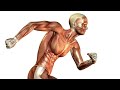 Things That Happen To Your Body When you Run Everyday