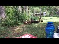 Ducks And Hiccups