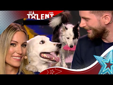 PERRO que reconoce MÁS de 200 palabras y sabe posar | Audiciones 6 | Got Talent España 2023