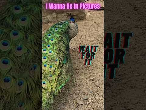 𝐈 𝐖𝐚𝐧𝐧𝐚 𝐁𝐞 𝐈𝐧 𝐏𝐢𝐜𝐭𝐮𝐫𝐞𝐬 - #𝐜𝐚𝐫𝐭𝐚𝐠𝐞𝐧𝐚 #𝐜𝐨𝐥𝐮𝐦𝐛𝐢𝐚 #𝐨𝐚𝐬𝐢𝐬 #𝐞𝐜𝐨 #𝐩𝐚𝐫𝐤