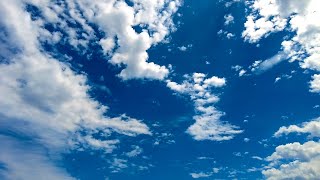 Relax - Soothing Clouds Hovering a Calm Forest 🌳☁️