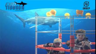 DIA 2 Expo Tiburon162