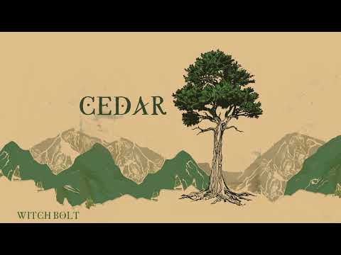 Witch Bolt - Cedar (Dungeon Synth, Non-AI DS)