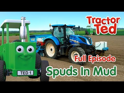 Spuds in Mud 🥔 Tractor Ted Full Episode | Big Machines & Tractors For Kids