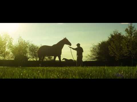 TONALIST - Lane's End