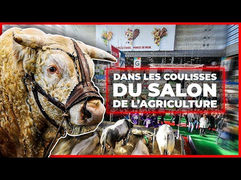 Dans les coulisses du Salon de l'Agriculture