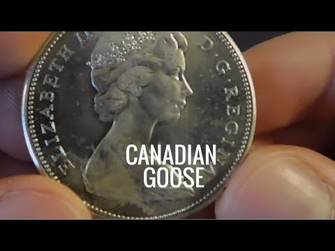 Silver History Sunday - Goose Dollar