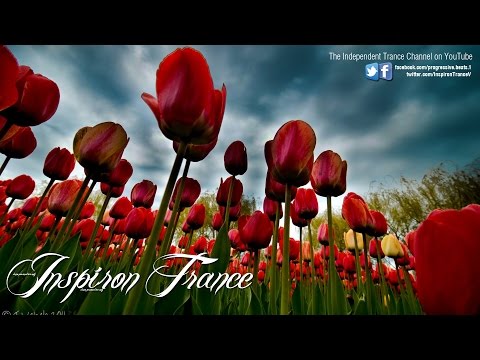 Ummet Ozcan VS Jacob van Hage & Saint Liz ft. Dash Berlin - Here & Voodoo On The Run Now