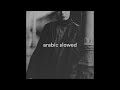 Amorf Çöl Slowed