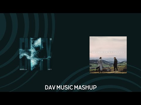 Martin Garrix & Dubvision vs Martin Garrix & Dua Lipa  Empty vs Scared to Be Loney  Dav Music Mashup
