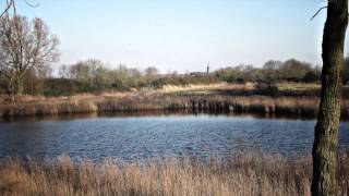 lifehouse - nobody listen