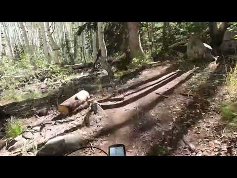 A cruise around the loop