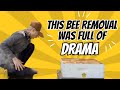 Diese Bienenentfernung War Voller Dramatik