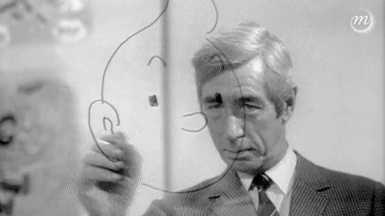 Miniature de la vidéo Extrait du film Hergé à l'ombre de Tintin