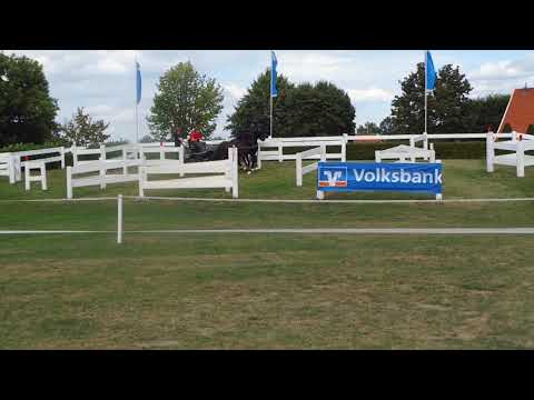 Fahrturnier Ostenfelde 15.8.2021