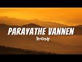 Parayathe Vannen Song Lyrics BroDady