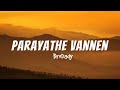 Parayathe Vannen song(Lyrics)-BroDady