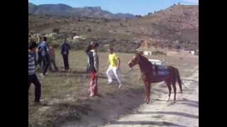 preview picture of video '2012_04 Caballo Peña Caballista Cortijero, Entrenamiento carrera, ciudad de Caravaca edita: zAkAtYn'