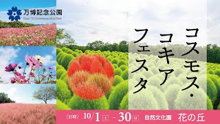 [遊記] 大阪萬博紀念公園：民族學博物館與花之丘