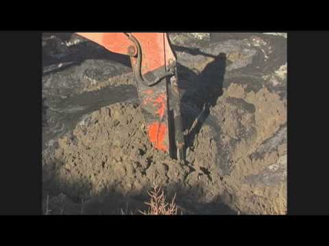 Split Estate Trailer