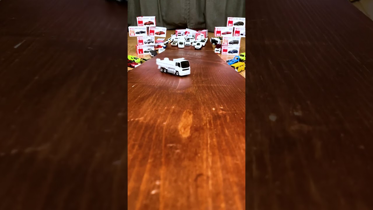 Tomica & Hot Wheels, Gather Up🐻‍❄️