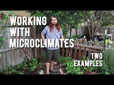 Working With Microclimates - Two Examples