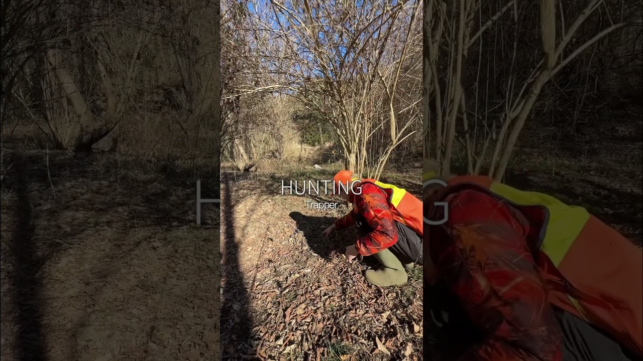 【狩猟】狩猟の合間は…【狩り】 #shorts #女子 #狩猟 #猟師 Female hunter captures wild boar