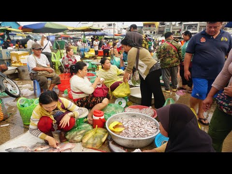 Chbar Ampov Site Distribute Fish & Seafood - Daily Lifestyle of Khmer People Buying Fish & More Food