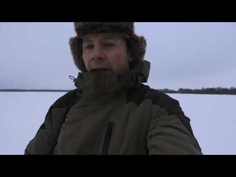 Polowanie zbiorowe koło łowieckie Szarak Działdowo #hunting #shoot 