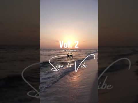 Dj Sergio Graça - SIGA LÁ VIBE VOL.2 | HOUSE MUSIC